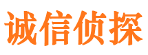 东区市侦探调查公司